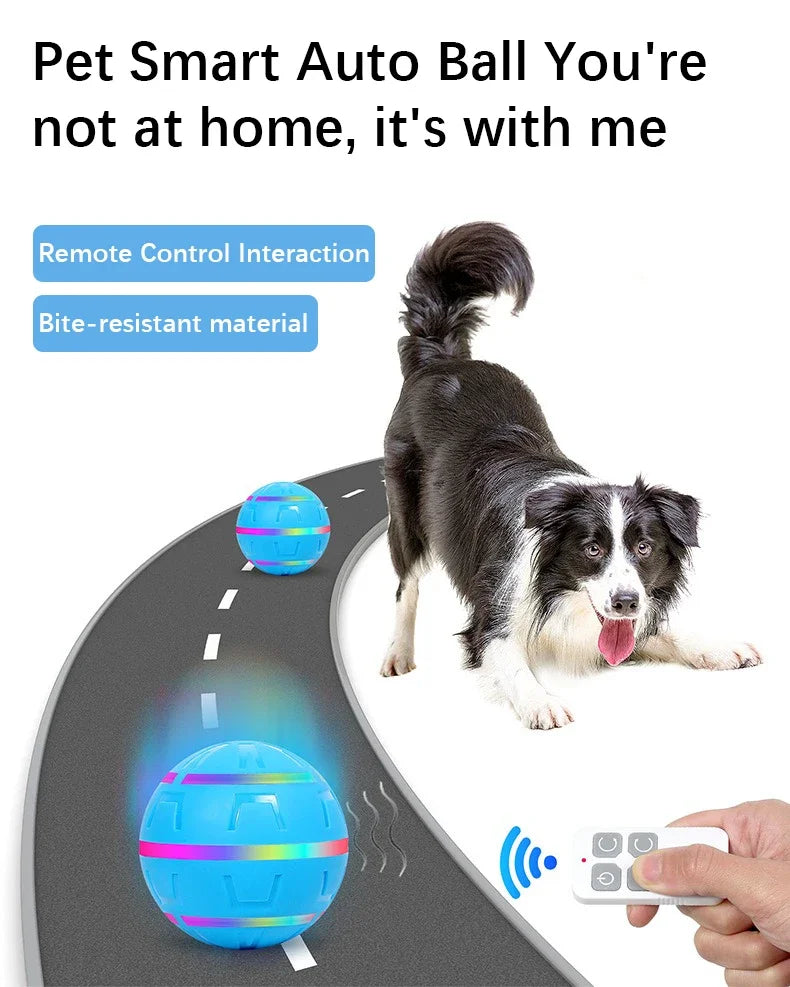 Pet Toy Ball