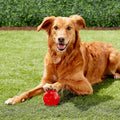 Ethical Pet Play Strong Rubber Ball Tough Dog  Chew Toy