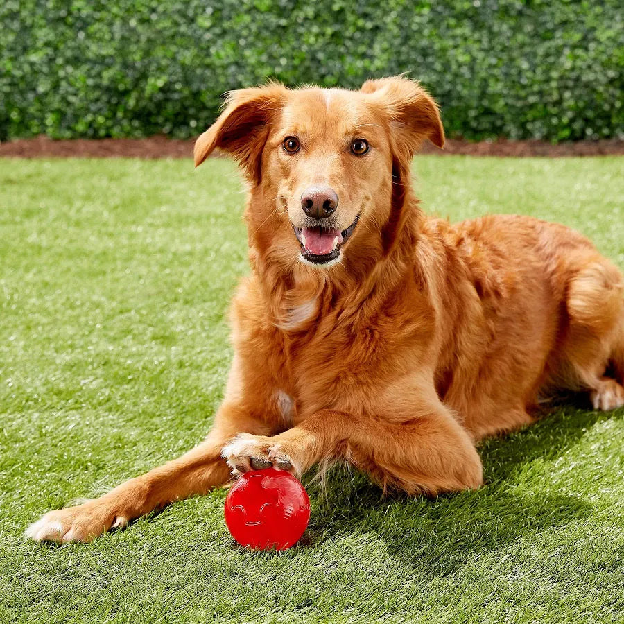Ethical Pet Play Strong Rubber Ball Tough Dog  Chew Toy